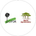 CIFOR-ICRAF