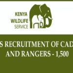 Kenya Wildlife Service